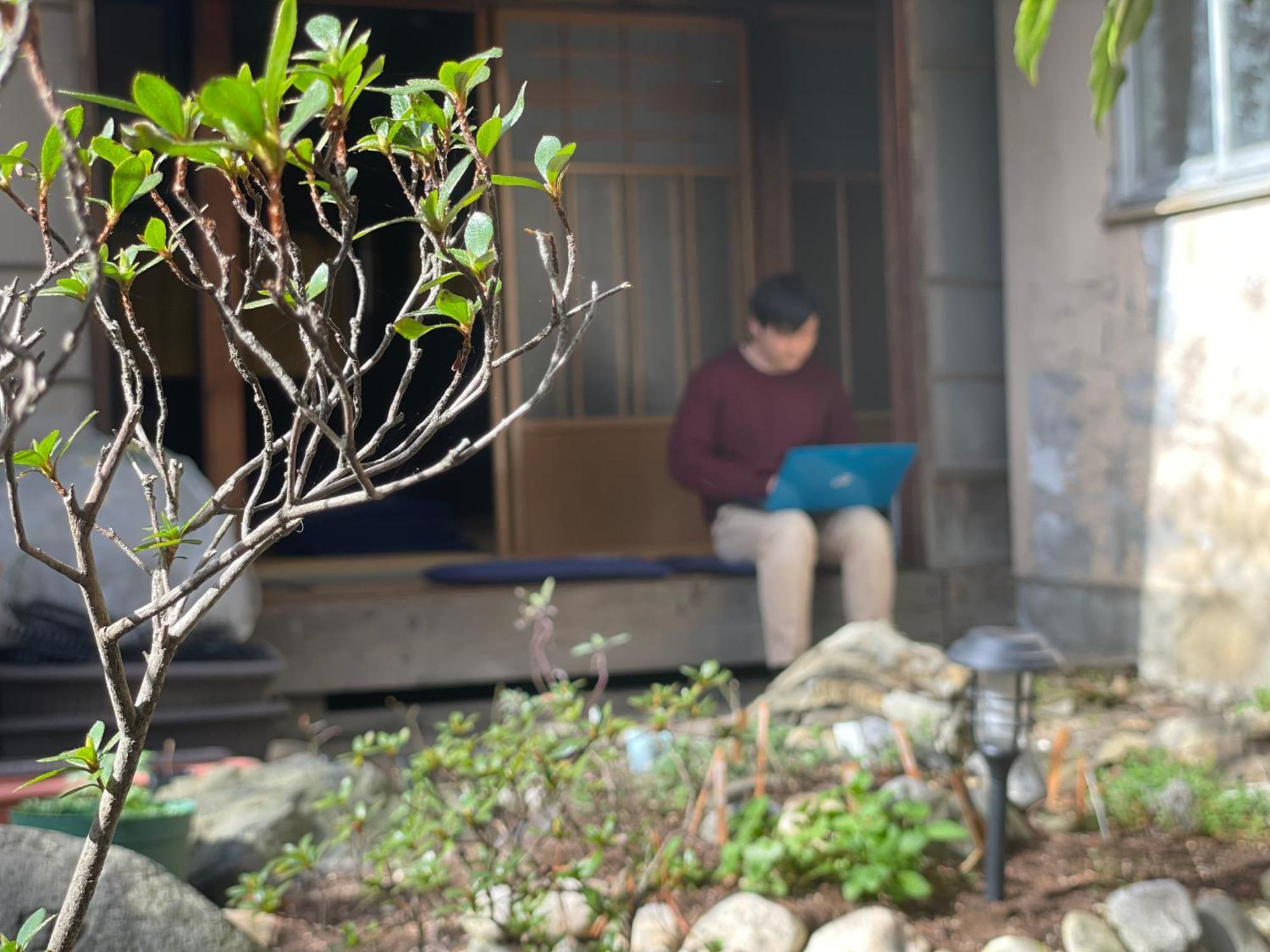 北アルプス麓のゲストハウス林屋 大町市 外观 照片